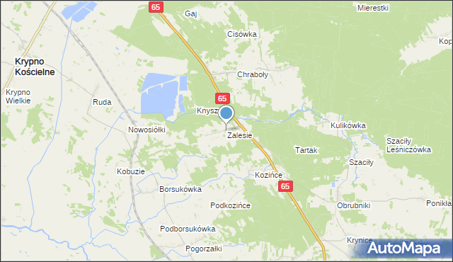 mapa Zalesie, Zalesie gmina Dobrzyniewo Duże na mapie Targeo